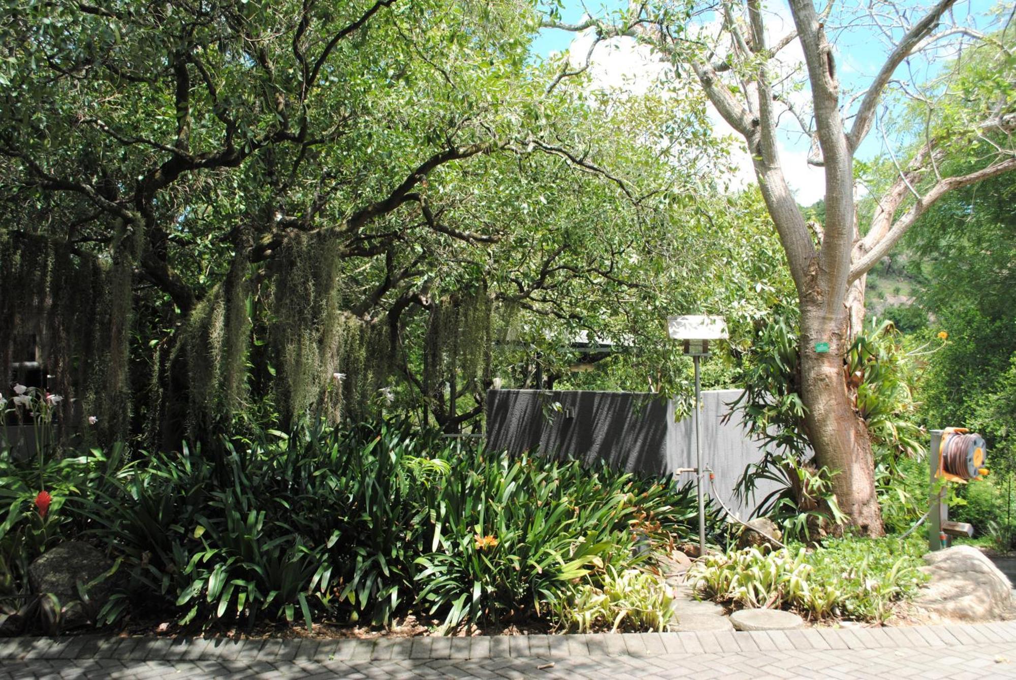 Birds Babble Self Catering Hotel Mbombela Bagian luar foto
