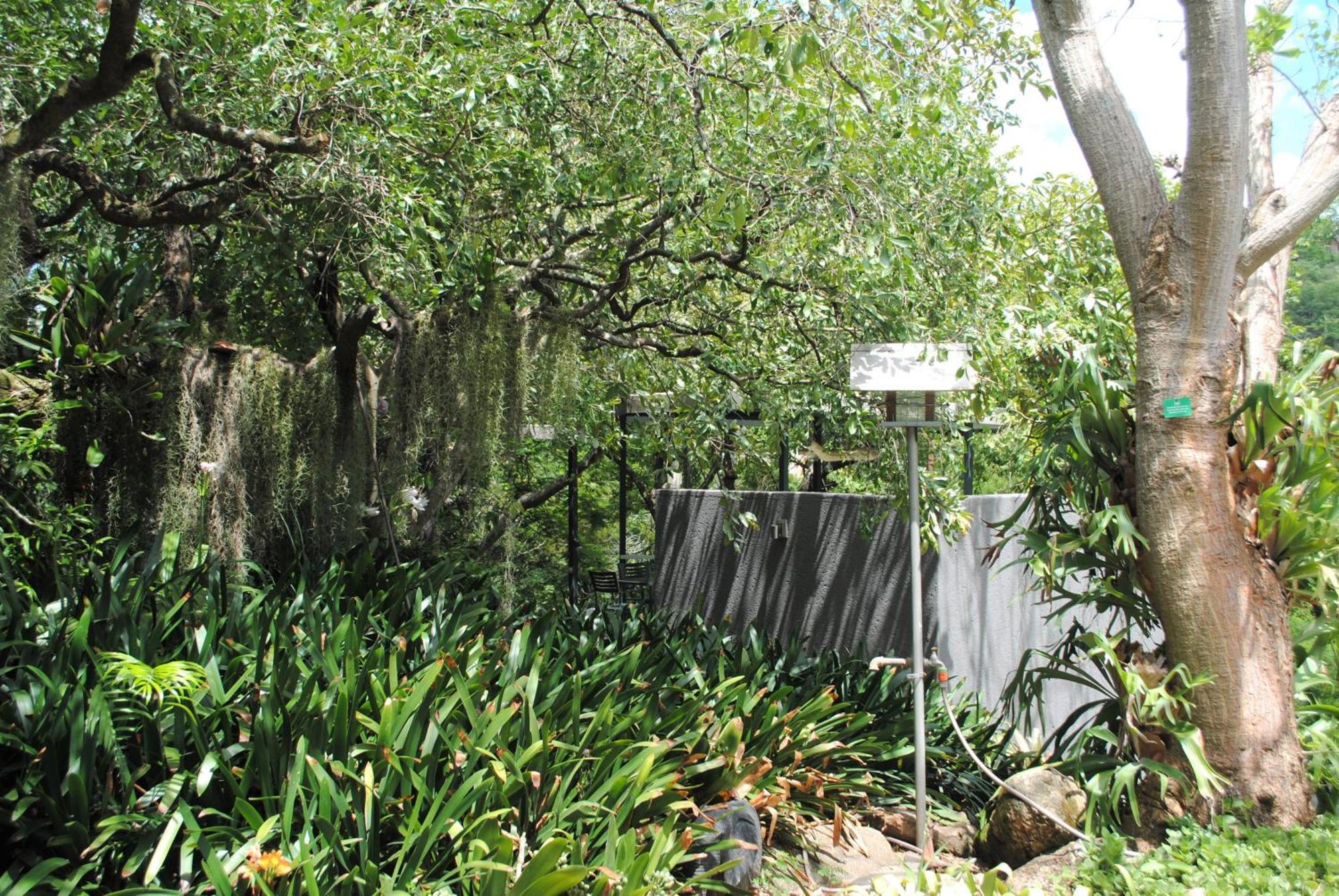 Birds Babble Self Catering Hotel Mbombela Bagian luar foto